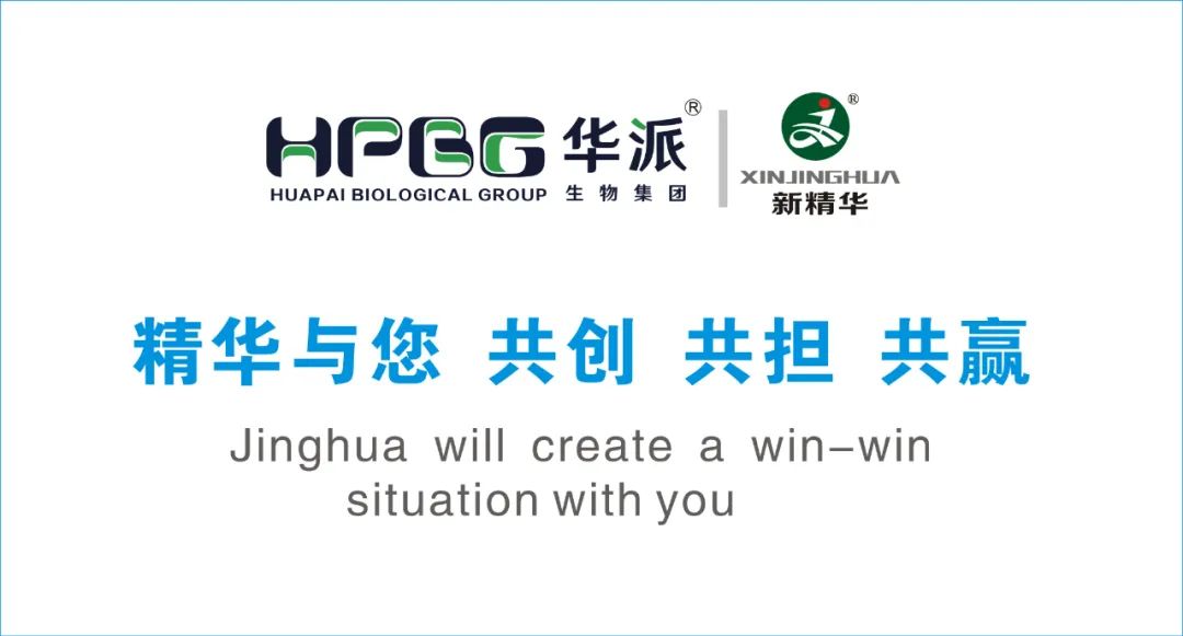 企业简介 |华派集团•耀彩网药业（成都）有限公司