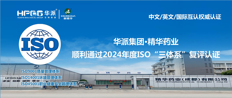 中文/英文/国际互认权威认证 | 华派集团·耀彩网药业顺遂通过2024年度ISO“三系统”复评认证