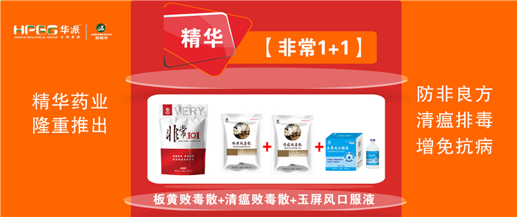 科普：非洲猪瘟防控步伐 |【很是1+1】防非良方, 清瘟排毒、增免抗病，，，，，，加速猪瘟抗体爆发!