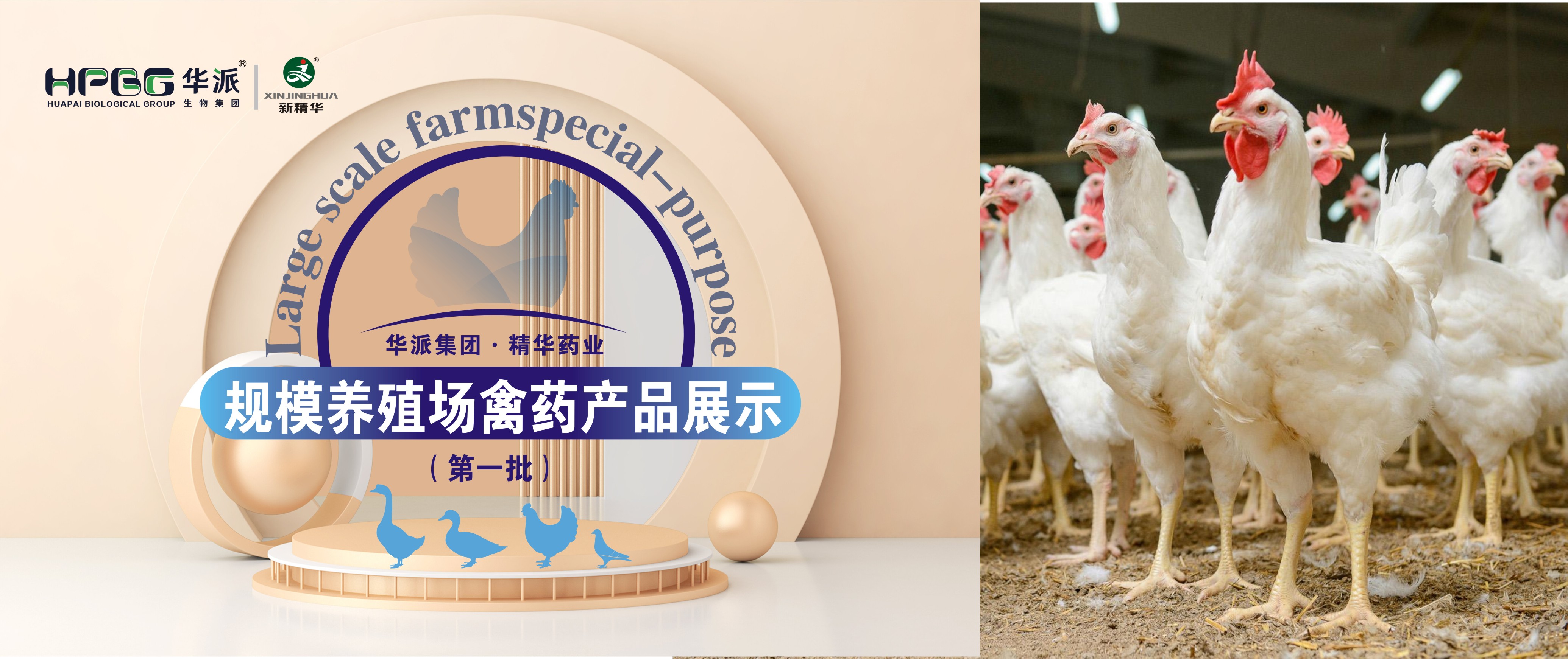 规；；；；；；吵∽ㄓ | 华派集团·耀彩网药业规；；；；；；吵∏菀┎氛故荆ǖ谝慌